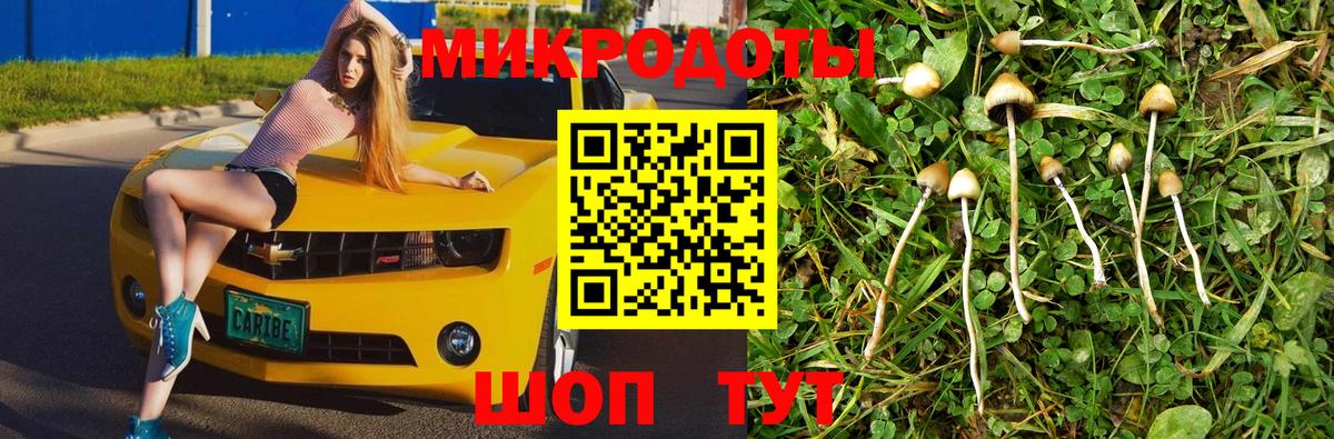 Псилоцибиновые грибы GOLDEN TEACHER Москва